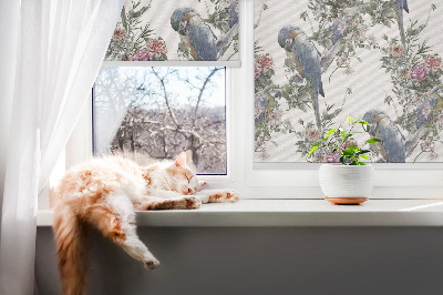 Store fenêtre intérieur avec des perroquets sur des fleurs