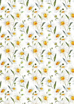 Store occultant fenêtre marguerites