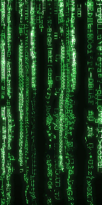Store occultant fenêtre avec chiffres verts