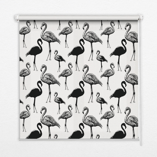 Store fenêtre intérieur avec flamants roses noirs