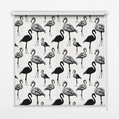 Store fenêtre intérieur avec flamants roses noirs