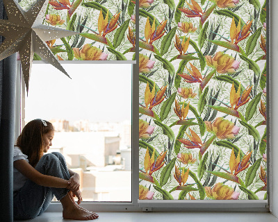 Store enrouleur occultant pour plantes exotiques