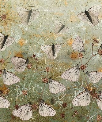 Store fenêtre intérieur avec motif de papillons dans la prairie