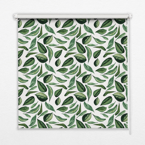 Store fenêtre intérieur feuilles tombant des arbres