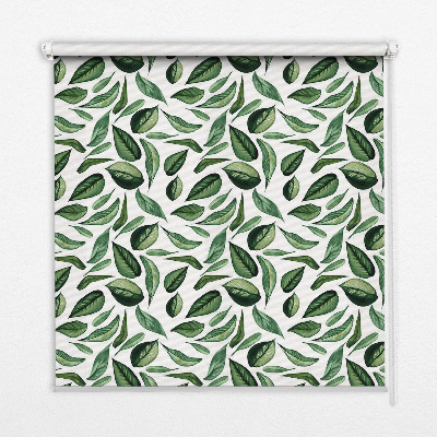 Store fenêtre intérieur feuilles tombant des arbres