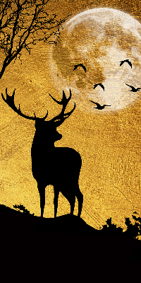 Store occultant fenêtre cerfs la nuit