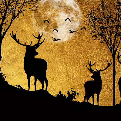 Store occultant fenêtre cerfs la nuit