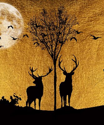 Store occultant fenêtre cerfs la nuit