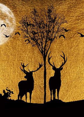 Store occultant fenêtre cerfs la nuit