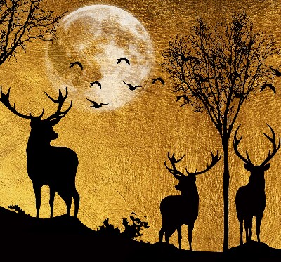 Store occultant fenêtre cerfs la nuit