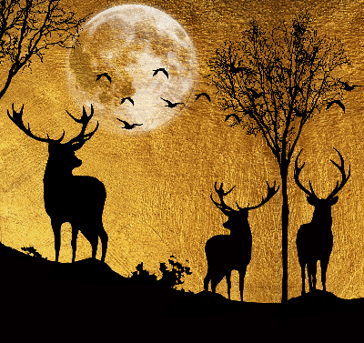 Store occultant fenêtre cerfs la nuit