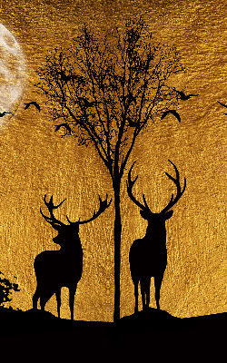 Store occultant fenêtre cerfs la nuit