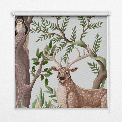 Store occultant fenetre animaux de la forêt