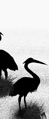 Store enrouleur occultant hérons