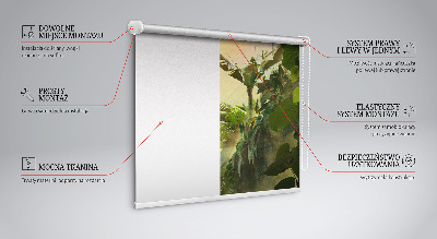 Store occultant fenetre pour cadre de plante