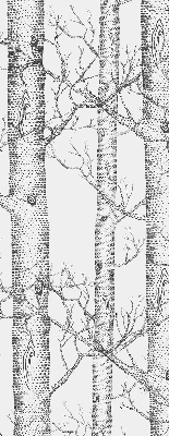 Coffres de fenêtre intérieur