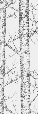 Coffres de fenêtre intérieur
