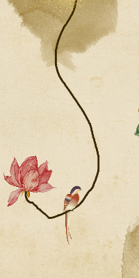 Store occultant fenêtre fleurs