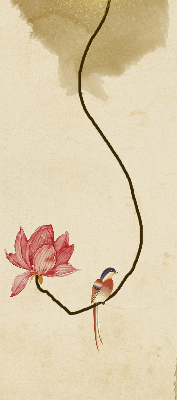 Store occultant fenêtre fleurs