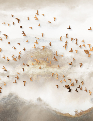 Store fenêtre intérieur avec un groupe d'oiseaux