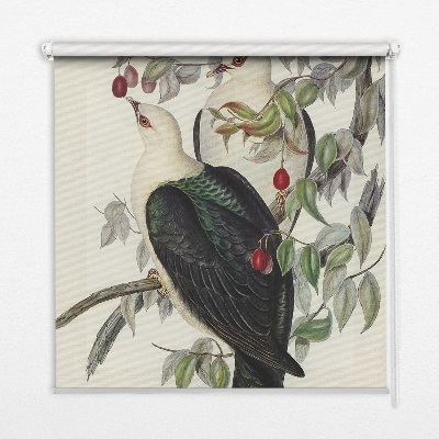 Store fenêtre intérieur avec oiseaux sur une branche