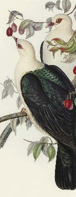 Store fenêtre intérieur avec oiseaux sur une branche