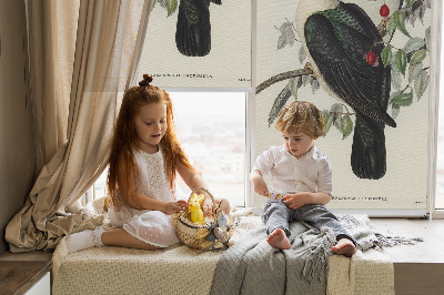 Store fenêtre intérieur avec oiseaux sur une branche
