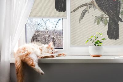 Store fenêtre intérieur avec oiseaux sur une branche