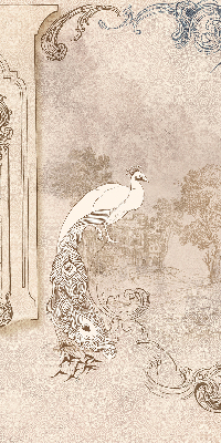 Store occultant fenêtre avec motif oiseaux vintage
