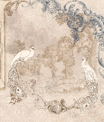 Store occultant fenêtre avec motif oiseaux vintage
