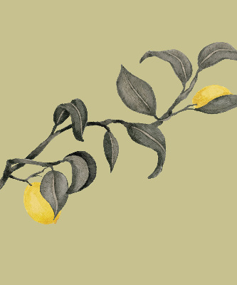 Store enrouleur occultant avec motif de citrons sur l'arbre