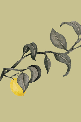 Store enrouleur occultant avec motif de citrons sur l'arbre