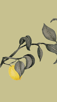 Store enrouleur occultant avec motif de citrons sur l'arbre