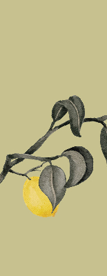 Store enrouleur occultant avec motif de citrons sur l'arbre