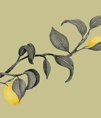 Store enrouleur occultant avec motif de citrons sur l'arbre