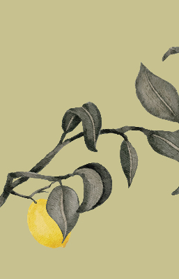Store enrouleur occultant avec motif de citrons sur l'arbre