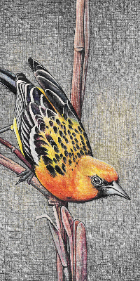 Store enrouleur occultant avec motif « Un oiseau sur une branche »