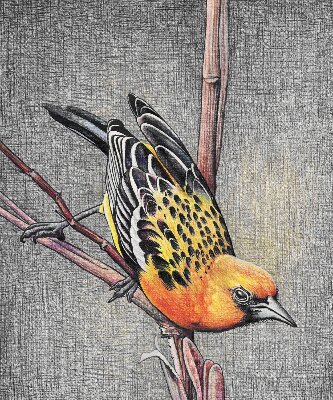 Store enrouleur occultant avec motif « Un oiseau sur une branche »