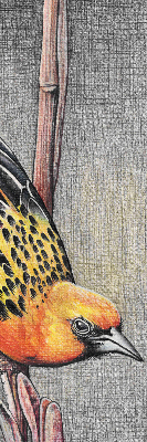 Store enrouleur occultant avec motif « Un oiseau sur une branche »