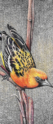 Store enrouleur occultant avec motif « Un oiseau sur une branche »