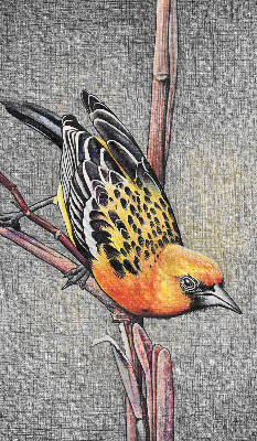 Store enrouleur occultant avec motif « Un oiseau sur une branche »
