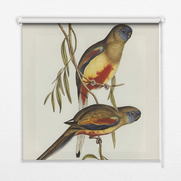 Store enrouleur occultant avec deux oiseaux sur une branche