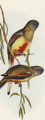 Store enrouleur occultant avec deux oiseaux sur une branche