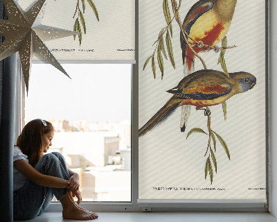 Store enrouleur occultant avec deux oiseaux sur une branche