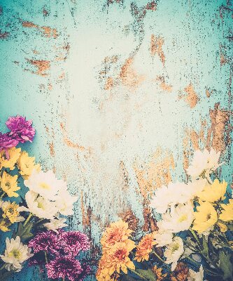 Store fenêtre intérieur avec des fleurs sur fond bleu