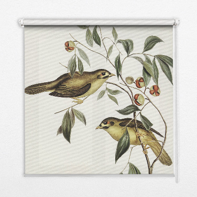 Store enrouleur occultant oiseaux sur un arbre