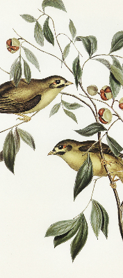Store enrouleur occultant oiseaux sur un arbre