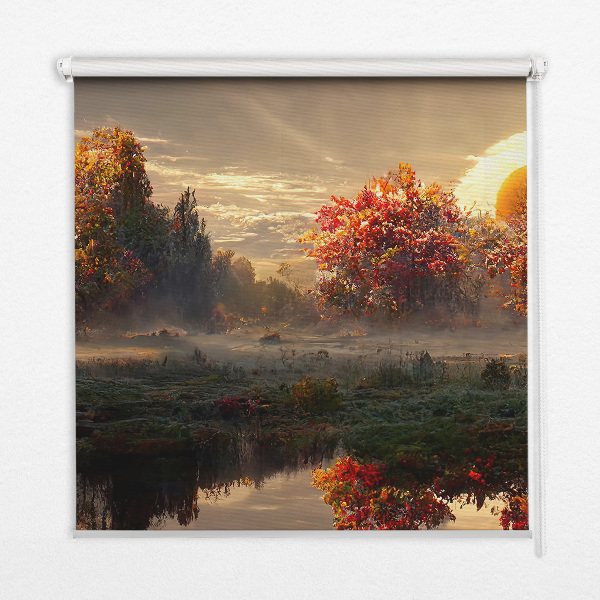 Store enrouleur occultant coucher de soleil derrière les arbres