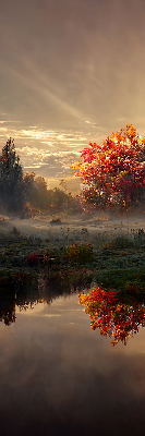 Store enrouleur occultant coucher de soleil derrière les arbres