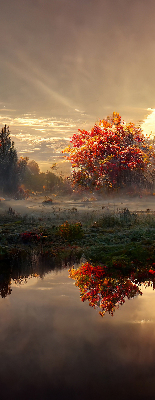 Store enrouleur occultant coucher de soleil derrière les arbres
